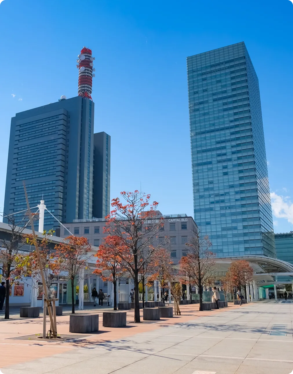 エリア別の需要